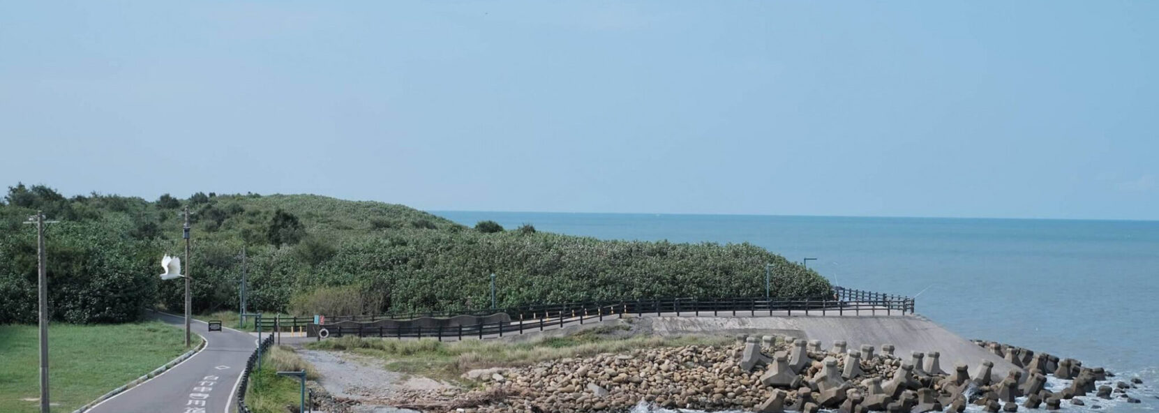 Re: [問卦] 台灣紅檜，保育類植物，為什麼不多種些