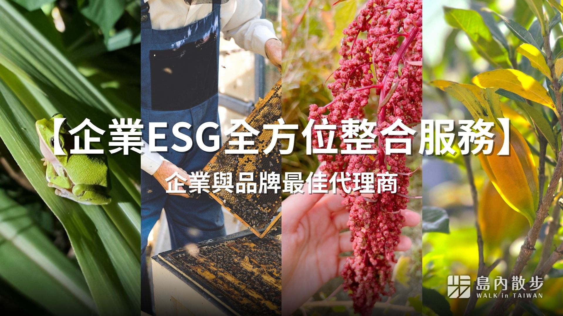 企業 ESG 全方位整合服務